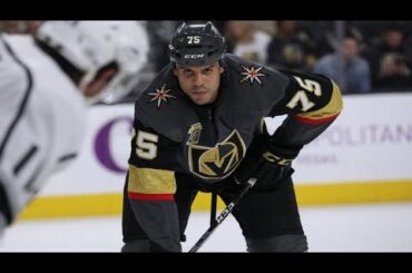 Ryan Reaves - The Last Enforcer