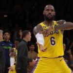 WILD LAKERS VS WOLVES END OF GAME 🤯