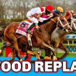 2023 Wood Memorial Stakes Replay | LORD MILES Narrowly Upsets Derby Prep Over HIT SHOW, DREAMLIKE