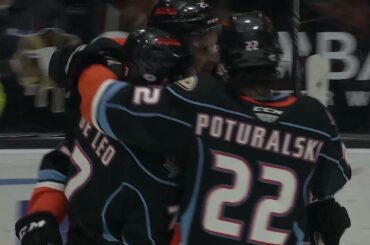 Sam Carrick's Shimmy Shake Tally