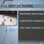 Blackhawks Reassign Lukas Reichel and Alex Vlasic to IceHogs