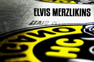 ELVIS MERZLIKINS A LAVORARE