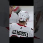 GOAL  Dylan Gambrell  Buffalo Sabres v Ottawa Senators  NHL  2022 23#shorts