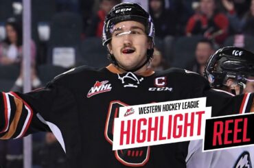 2018-19 HIGHLIGHT REEL | Mark Kastelic