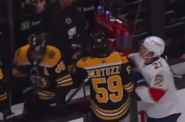 Tyler Bertuzzi unsportsmanlike conduct on Nick Cousins - Tough Call Recommendation