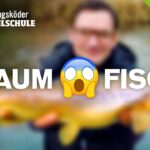 Forellenköder-Test am Bach 🎣🔥🐟