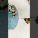 Bertuzzi kicks off his playoff scoring ⛸