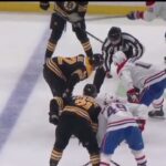 A.J. Greer crosscheck and Mike Hoffman slash - Tough Call Suspension recommendation