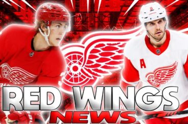 🔴RED WINGS LAST UPDATE (DETROIT RED WINGS NEWS TODAY) NHL NEWS