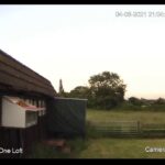 Jeremy Davies Live Stream