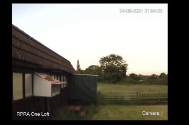 Jeremy Davies Live Stream