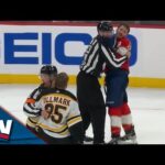 Linus Ullmark Throws Punches, Gets Sent Off As Bruins and Panthers Brawl Late