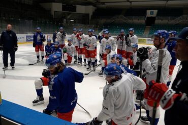 Z NHL přijedou Kubalík, Kaut, Jiříček, Svozil a Vejmelka. Vránu Jalonen nechce