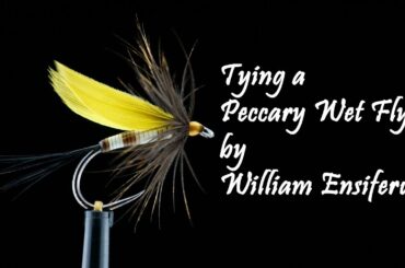 Tying a Peccary Wet Fly by William Ensiferum