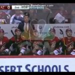 Max Domi vs Nate Schmidt FIGHT