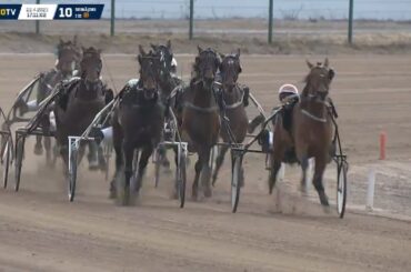 Seinäjoki Race 2023 - Mister Hercules