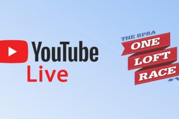 Jeremy Davies Live Stream