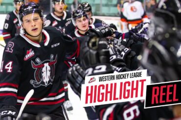 2019-20 HIGHLIGHT REEL | Ben King