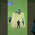Josh Brown is a wonderful striker of the ball - 6 sixes! #Short #YTShort