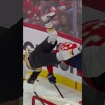 Brandon Montour sends Hampus Lindholm flying!