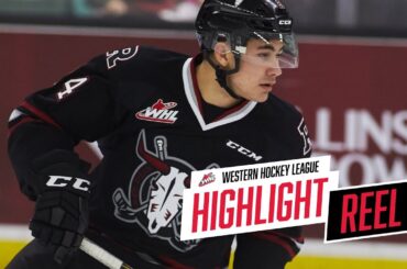 2018-19 HIGHLIGHT REEL | Alex Morozoff