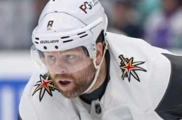 If you're a hockey fan you hate to see this