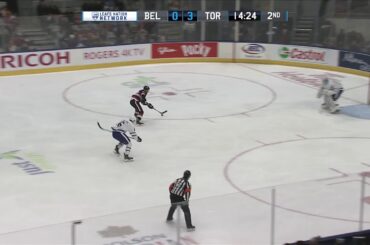 Pickard Stops Perron - November 26, 2017