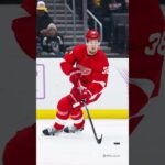 🇸🇪 Learn the pronunciations of Swedish NHL Players