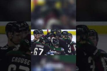 Arizona Coyotes goalie Connor Ingram with a message 😂