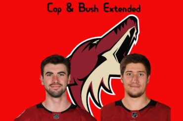 Capobianco & Lyubushkin Sign Extensions