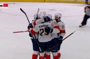 THESE PANTHERS ARE LEGIT!