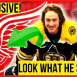 🆘 [HE IS CONTROVERSIAL?] RED WINGS UPDATE (NHL) DETROIT RED WINGS LASTED NEWS! GO WINGS!