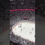 Adam Lowry’s Goal Forces OT with 22 Seconds Left! (Winnipeg Jets vs Vegas Golden Knights Game 3)