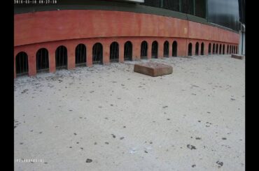 Jeremy Davies Live Stream