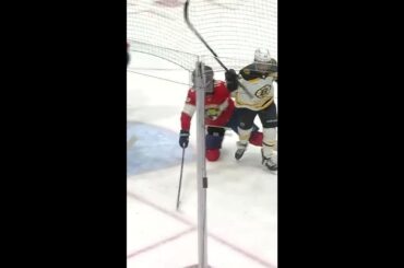 What The Actual Heck David Pastrnak?! 😱