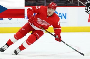 JAKUB VRÁNA VŠECHNY GÓLY V NHL SEZÓNA 2021/2022