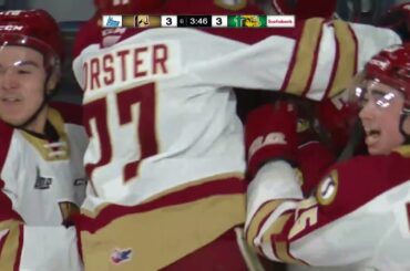 Kidney scores in triple overtime ! / Un but en 3e période de prolongation pour Kidney!