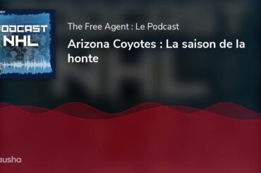 Arizona Coyotes : La saison de la honte