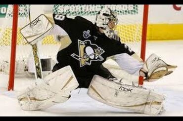 Highlights of Marc Andre Fleury #29