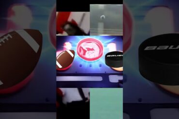 Weirdest Hockey Arenas - Ottawa Senators