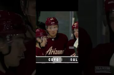 GOAL  Brett Ritchie  Arizona Coyotes v Minnesota Wild  NHL 2022 23#shorts