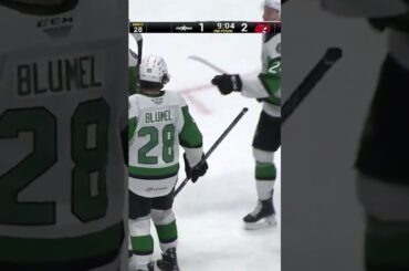 MARIÁN STUDENIČ 15. GÓL V AHL #shorts #studenic #ahl #hokej