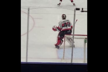 Mads Sogaard of Belleville vs Toronto Marlies