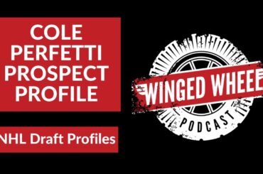Cole Perfetti Prospect Profile- Most Likely Red Wings 4th Overall Pick? (NHL Draft Prospect Profile)