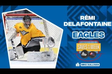 QMJHL Saves of the Week (9) / Les arrêts de la semaine (9) LHJMQ - 2021-2022