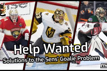 Which Goalies Should the Ottawa Senators Pursue this Offseason?
