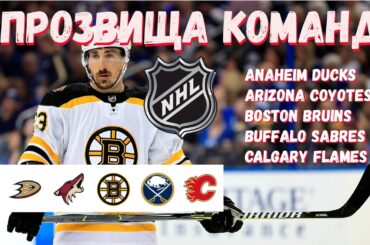 ПРОЗВИЩА Команд НХЛ - Anaheim Ducks, Arizona Coyotes, Boston Bruins, Buffalo Sabres, Calgary Flames