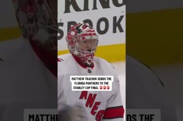 8th-seeded Panthers sweep the Canes to advance to the Stanley Cup Final! 🔥 #nhl