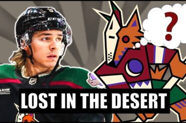Why Arizona Coyotes Saga Will Have A Bad Ending