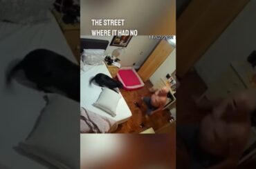 After his wife passed away, his children adopted him a dog to keep him company 👏❤️